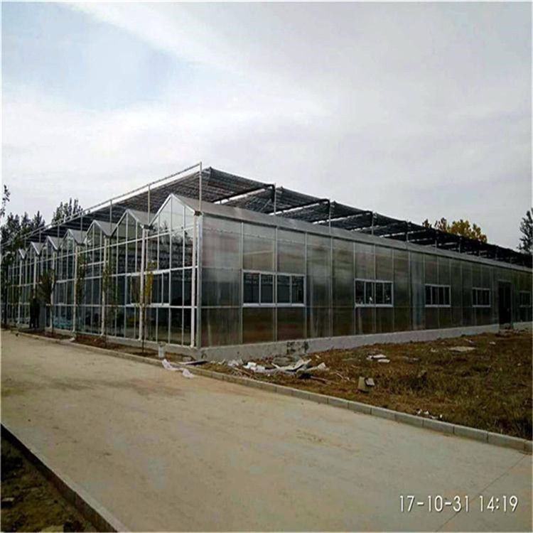 山东阳光板温室厂家 pc阳光板温室供应 搭建阳光板大棚
