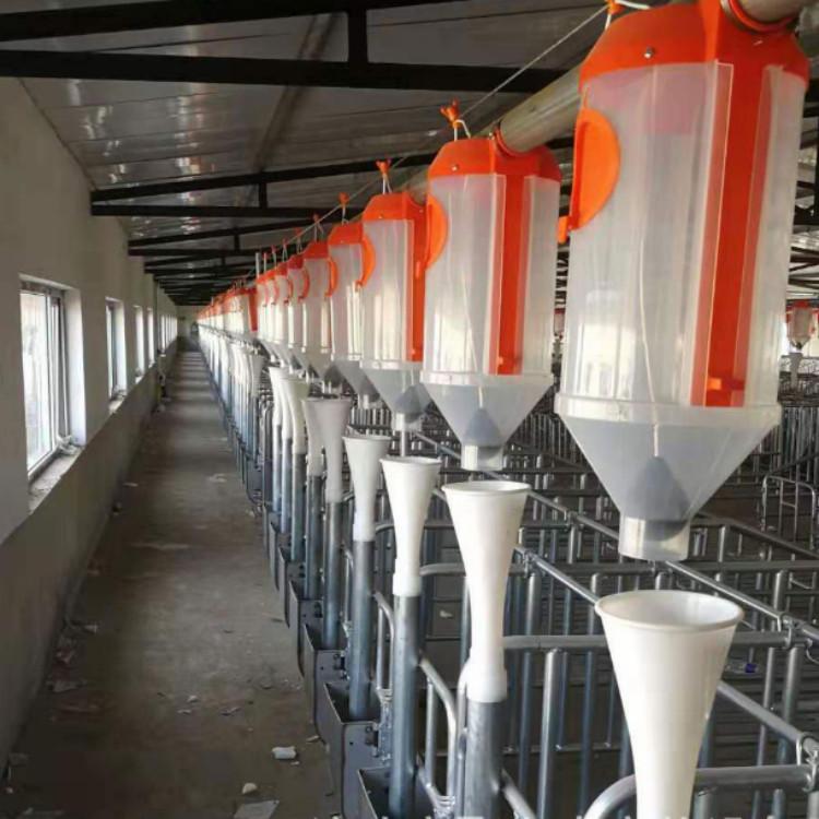 喂猪用自动化上料养殖料线,正茂耐腐蚀养殖料线