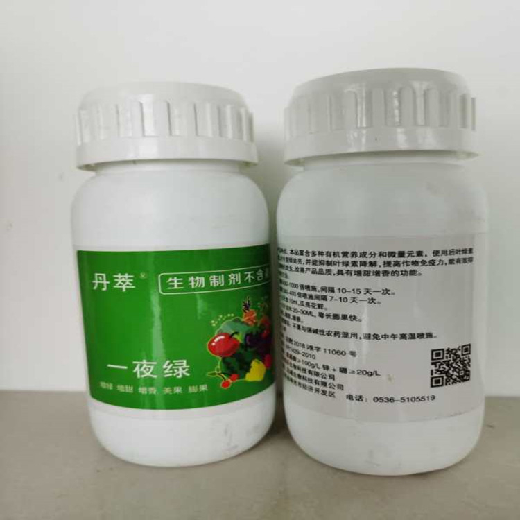 加工出售水果专用一夜绿  蔬菜大棚用一夜绿  可定制价格低