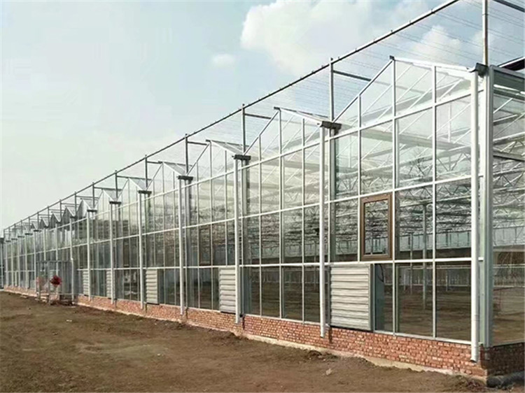  育苗连栋温室造价  恒丰  山东连栋温室厂家  欢迎询价