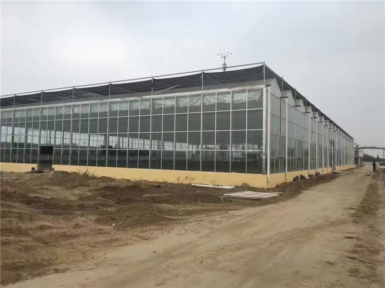 新型智能温室承建 价位合理     恒丰温室工程
