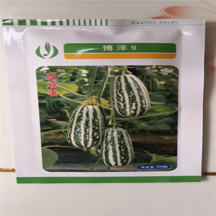 常年供应甜瓜种子  常温种植抗死棵博洋种子  欢迎咨询