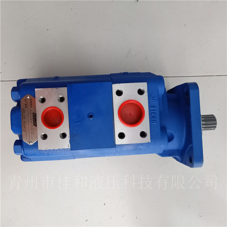 1115032914 高压双联齿轮油泵供应 天津泊姆克液压泵