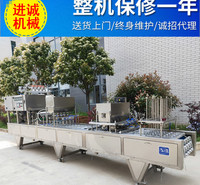 盒装蔬菜真空包装封口机 食品充气体保鲜气调包装机