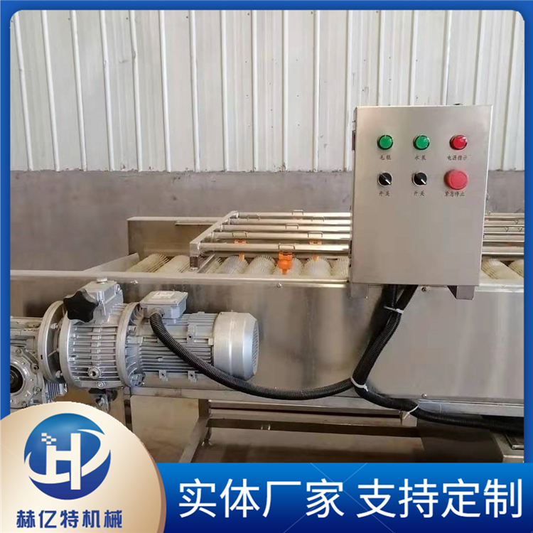 中药材毛辊清洗机 流水线水果刷洗机 平行毛辊清洗机 赫亿特定制