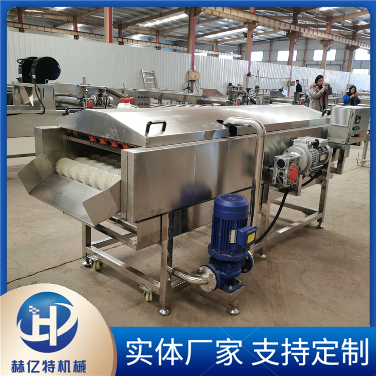 水果清洗设备 流水线水果刷洗机 平行毛辊清洗机 赫亿特定制