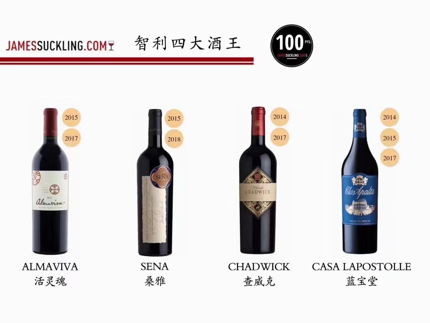 智利红酒进口商 蓝宝堂全系列招商价 批发