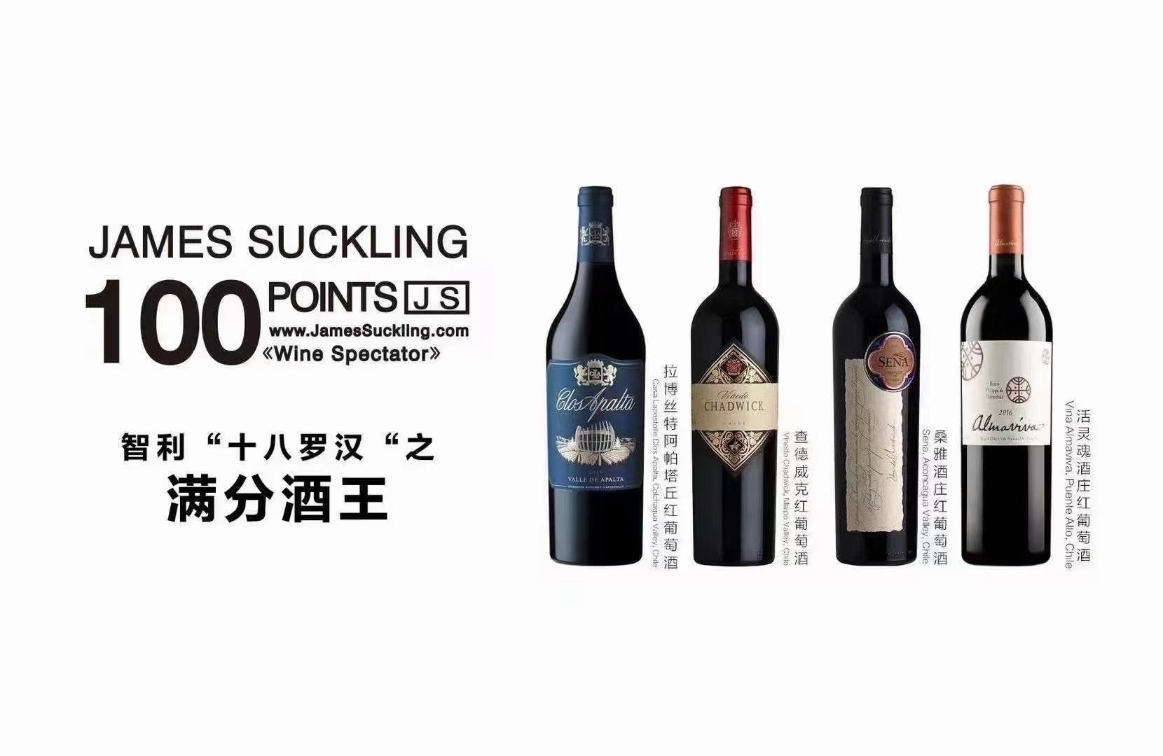 蓝宝堂干红价格 智利四大酒王 红酒招商
