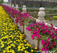鞍式护栏花盆  价格优惠  盛诺园艺马鞍花盆报价