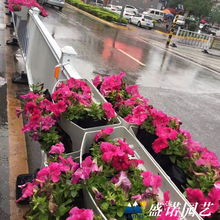马鞍花盆出售 山东桥梁马鞍式花盆  通风性较好