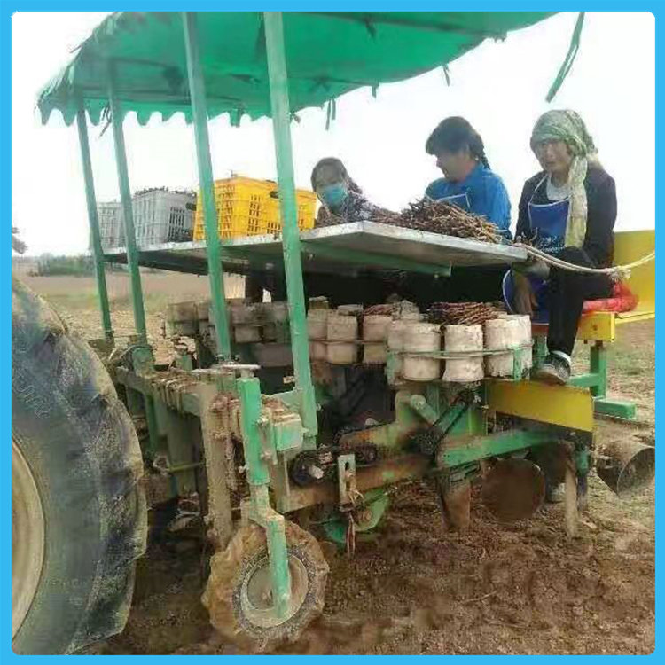 药材移栽机 油用牡丹移栽机 浩帅批量生产药材移栽机