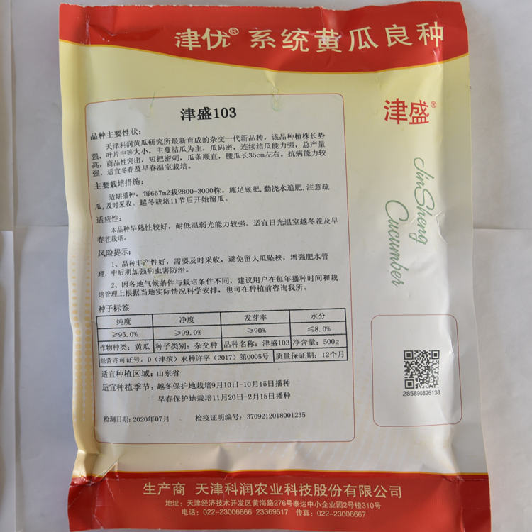 大量上市直播油亮黄瓜种子   抗死棵津盛黄瓜种子 欢迎咨询