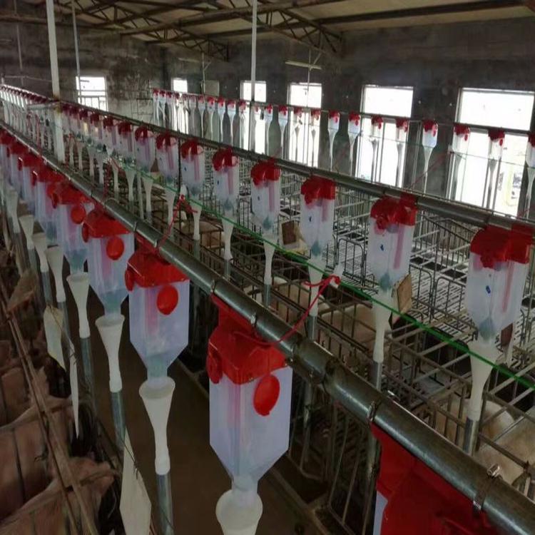 加工定制养猪设备养殖料线,正茂自动化喂养设备养殖料线