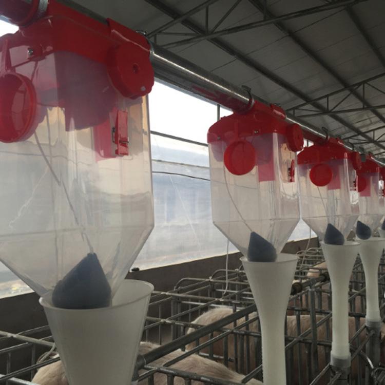 厂家定制养猪喂料线,正茂耐酸碱自动化喂料设备养殖料线