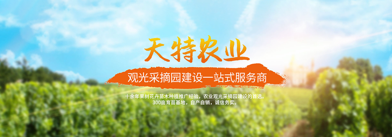 天门市特色农业有限公司 主营产品