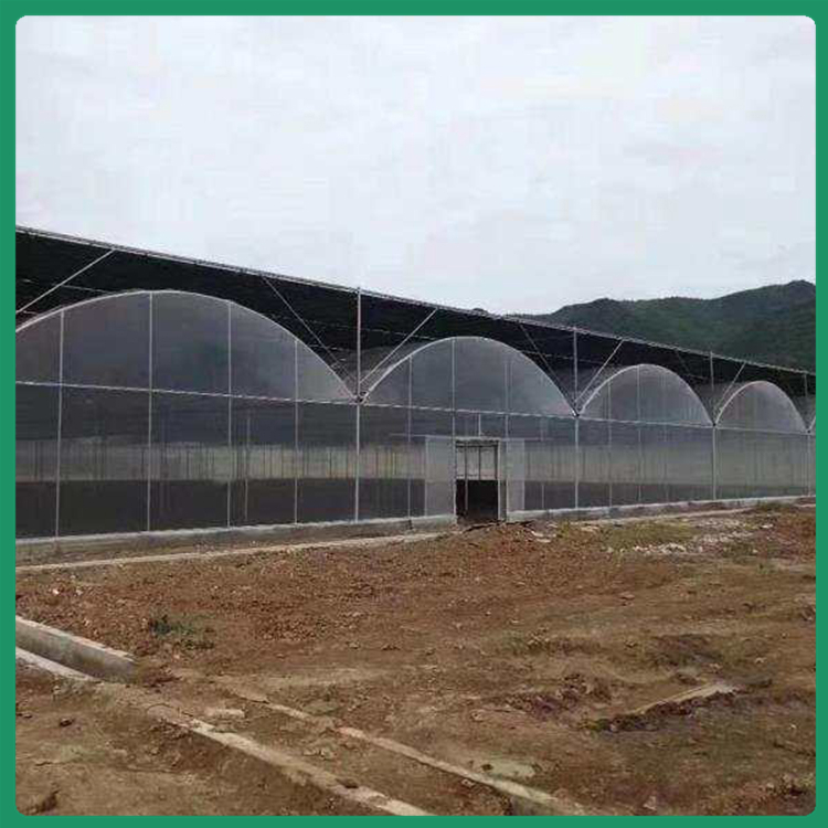 薄膜温室大棚 拱形连栋薄膜温室 简易连栋蔬菜大棚