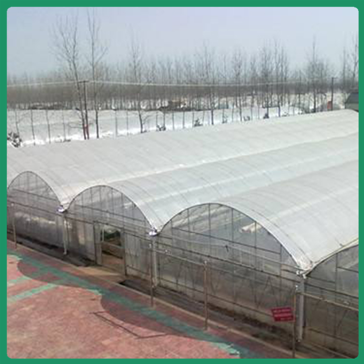 山东樱桃大棚 薄膜温室承建商 遮阳系统优良