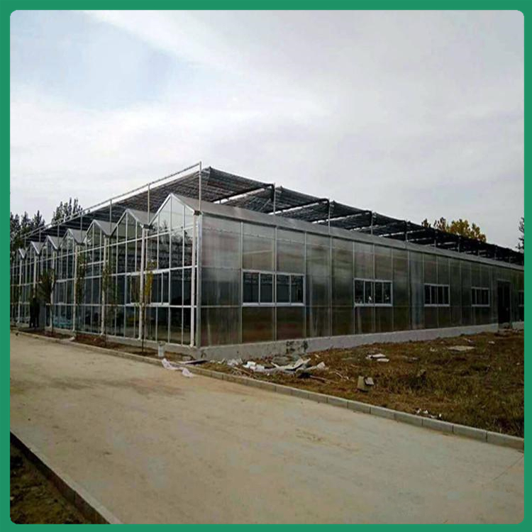 润云定制阳光板温室 山东蔬菜种植大棚 pc板大棚
