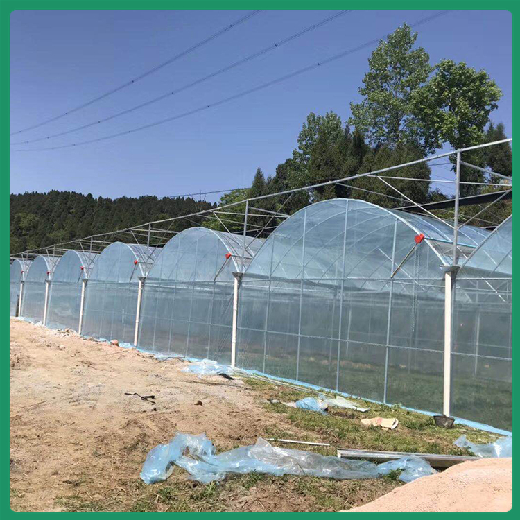 润云搭建花卉薄膜连栋温室 采光好易维护