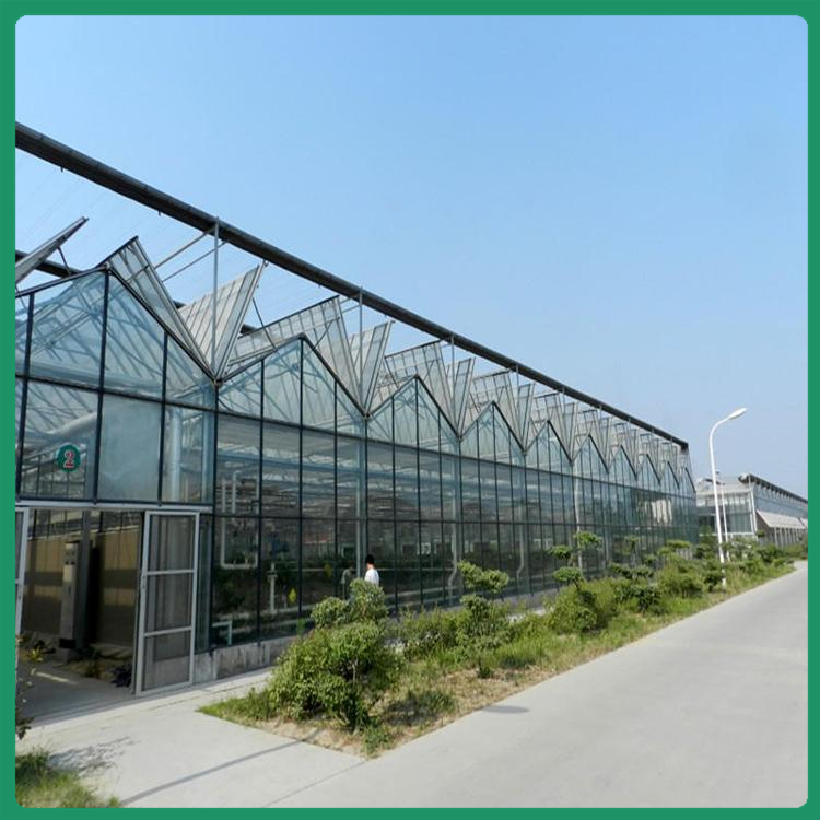 承接蔬菜温室大棚 河南蔬菜种植温室 花卉育苗温室 保温性能好