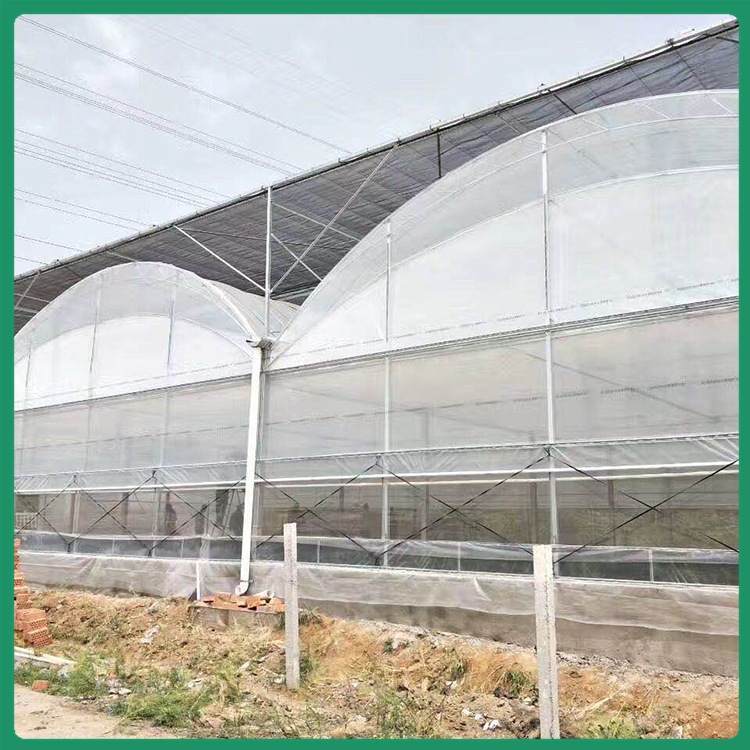 润云_连栋拱形薄膜温室报价 山东薄膜温室价格 欢迎咨询