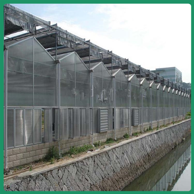 阳光板温室建造 山东种植大棚 蔬菜大棚 上门搭建