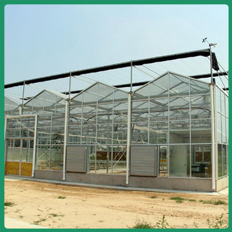 农业种植大棚 真材实料 蔬菜种植温室 玻璃温室建造商