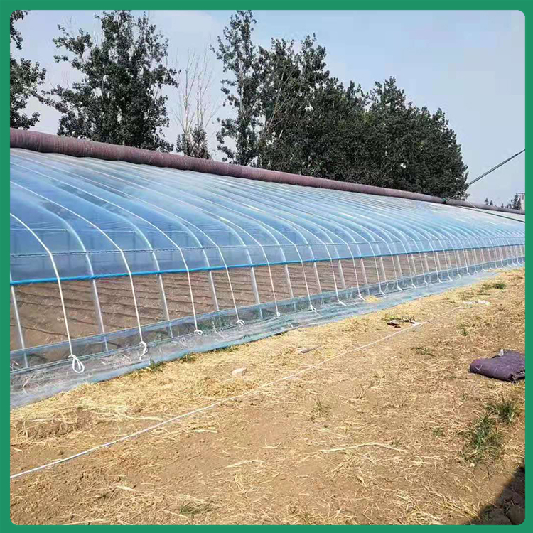草莓采摘大棚 连栋薄膜温室造价 润云报价合理