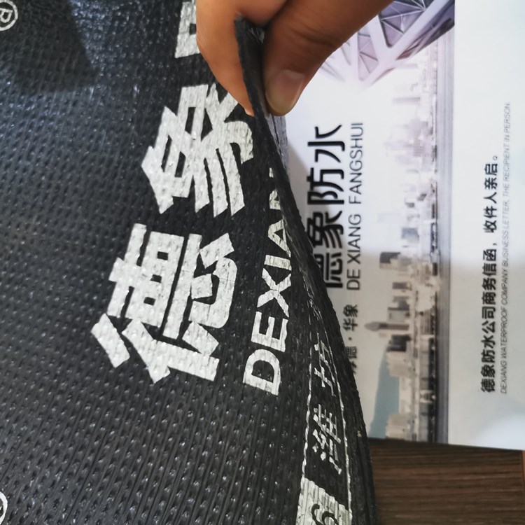 出售种植屋面用耐根穿刺防水卷材   蓝恩防水高聚物改性沥青防水卷材  欢迎咨询