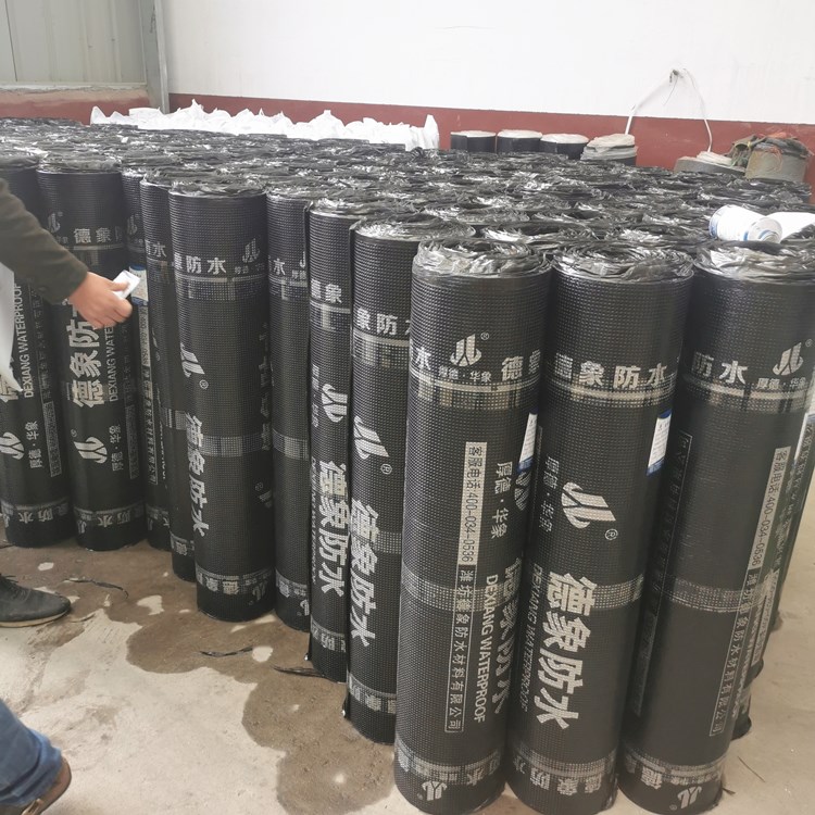 sbs防水卷材批发商  蓝恩防水 SBS聚酯胎防水卷材 APP改性沥青防水卷材