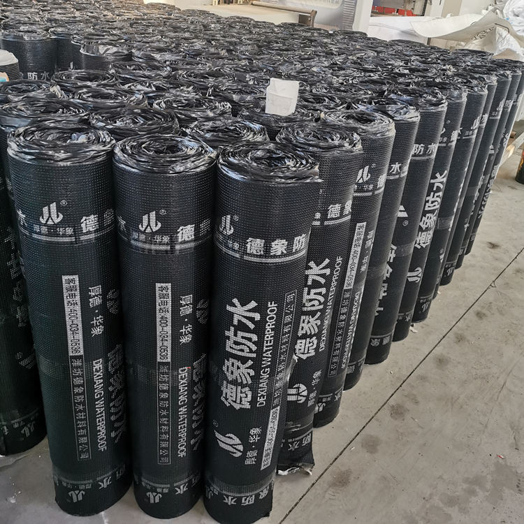 山东SBS/APP防水卷材批发 蓝恩防水 自粘式sbs防水卷材 耐根穿刺防水卷材  批发好价