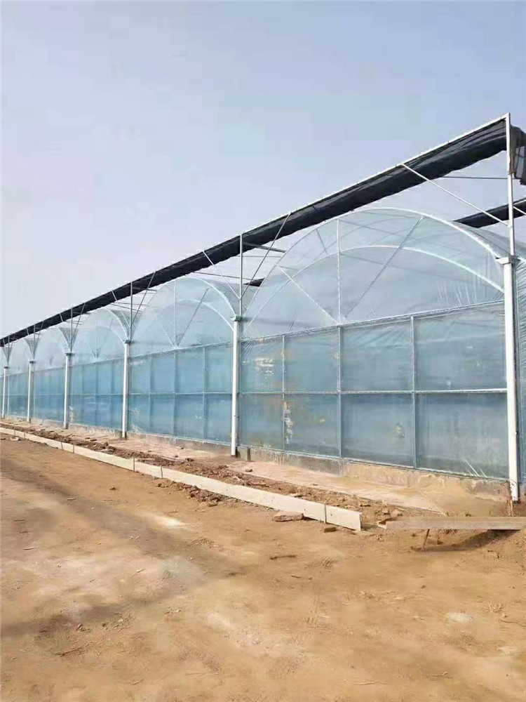 双拱双膜温室 青州双拱双膜温室 薄膜温室建造商