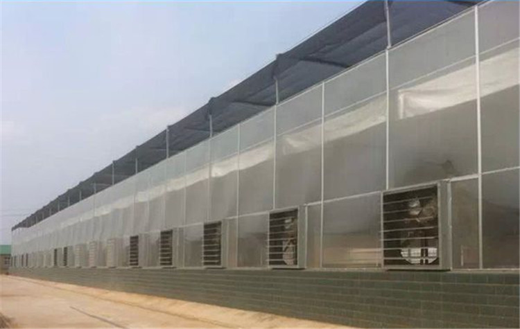 智能玻璃温室大棚 连栋玻璃温室工程   博盛温室工程