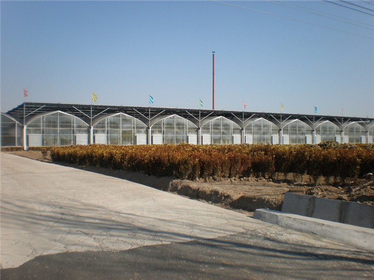 种植薄膜连栋大棚搭建 蔬菜薄膜温室骨架   博盛园艺温室工程