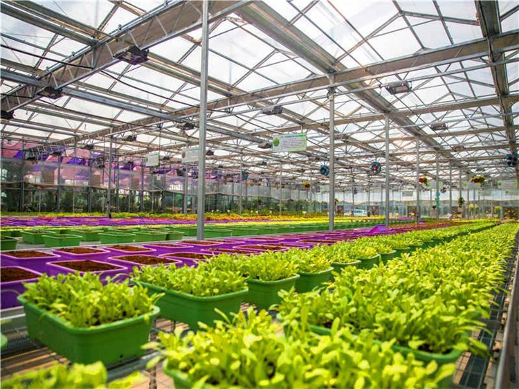 薄膜连栋温室基础建设 薄膜温室农业工程 承建承接薄膜大棚