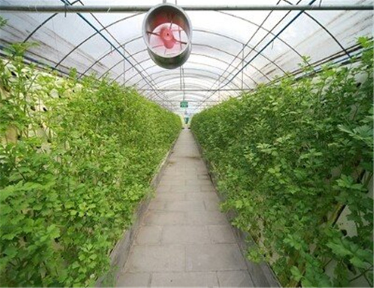 蔬菜温室大棚 阳光板温室价格