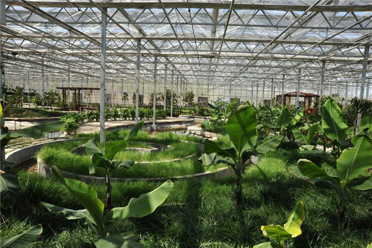 连栋智能温室建造 育苗连栋温室工程 蔬菜连栋大棚价格 天之蓝温室