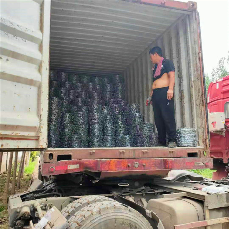  飞腾丝网 监狱机场防盗铁丝网 抗拉刺绳 厂家量身定制