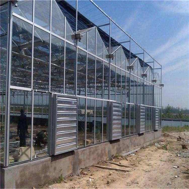 智能玻璃温室建造 种植玻璃温室大棚 新型玻璃温室造价