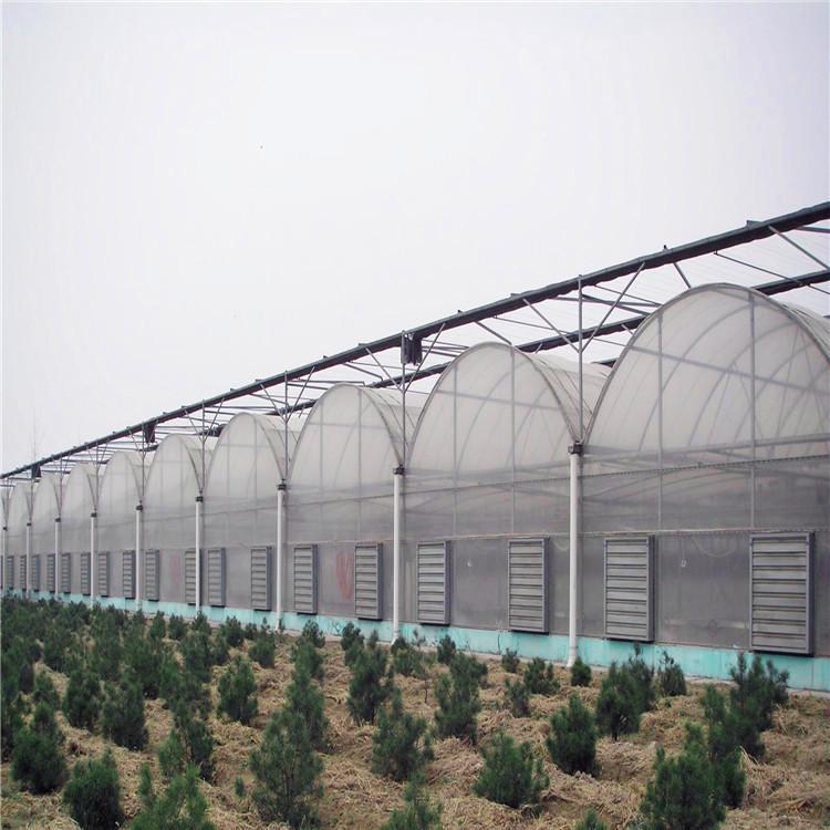 日光薄膜温室搭建 承接薄膜温室工程 种植薄膜温室大棚