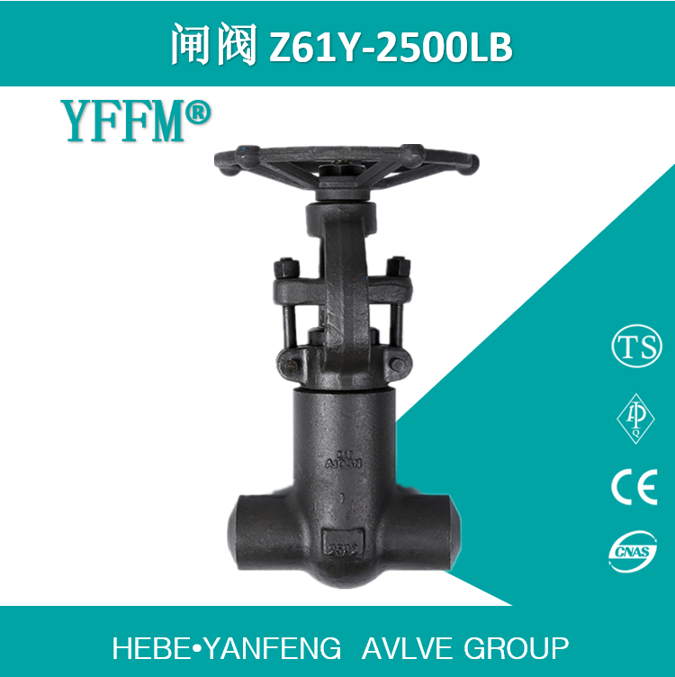 焊接自密封锻钢闸阀Z61Y-2500LB-DN20 A105