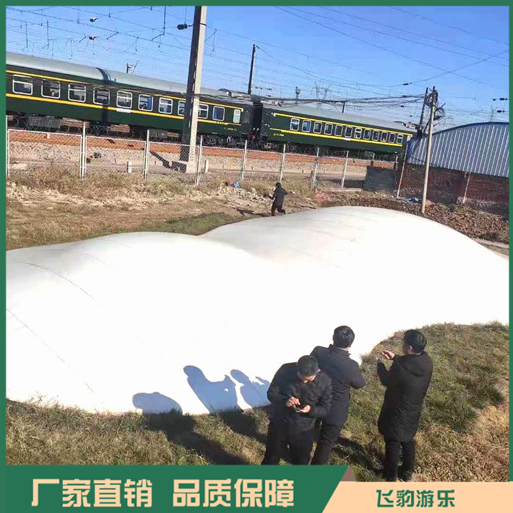 飞豹景区蹦蹦云价格 蹦蹦云乐园报价 源头厂家 快速发货
