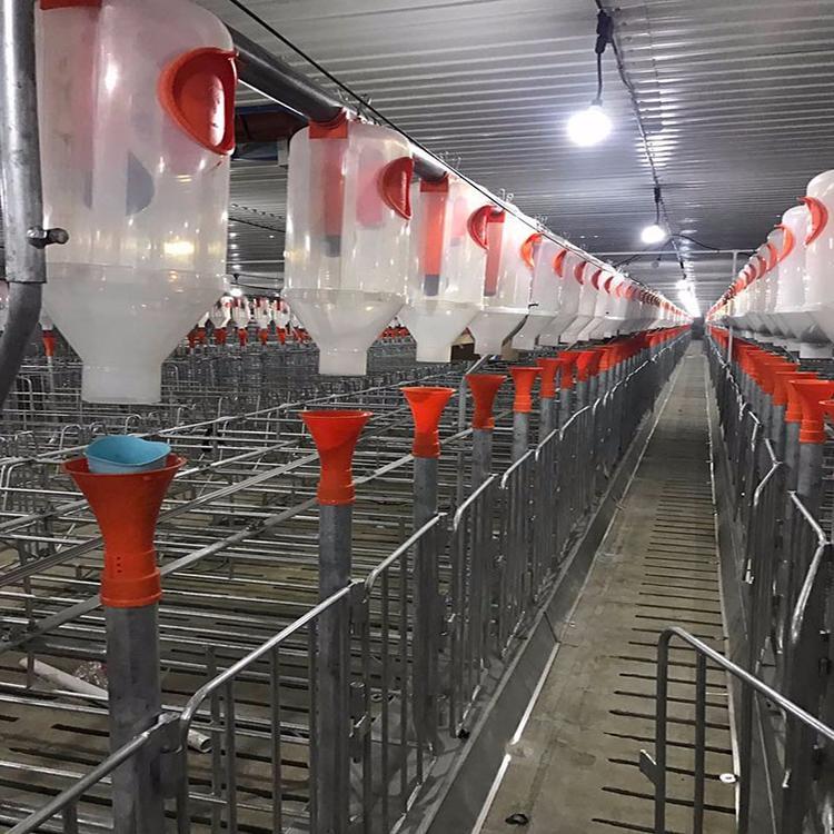 耐酸碱耐磨养殖料线  正茂养猪用自动化喂料养殖料线