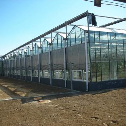 【辰昊】蔬菜温室建设    蔬菜瓜果育苗工程建造    蔬菜花卉专用大棚