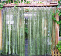 空气凤梨 植物窗帘 室内庭院装饰植物 气生植物 净化空气植物