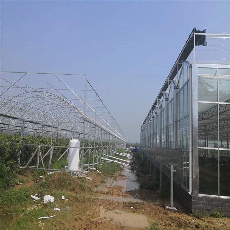 农业用棚-温室工程承建-山水合温室