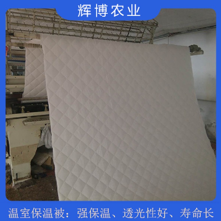 透光性较好内保温被 山东内保温被价格
