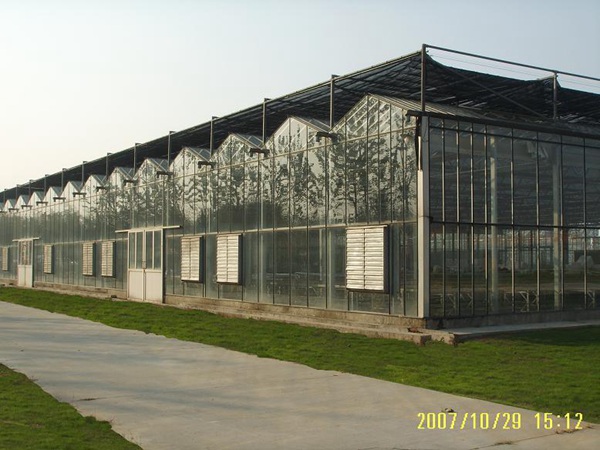 养殖温室   育雏连栋玻璃温室建设  优良材质玻璃温室