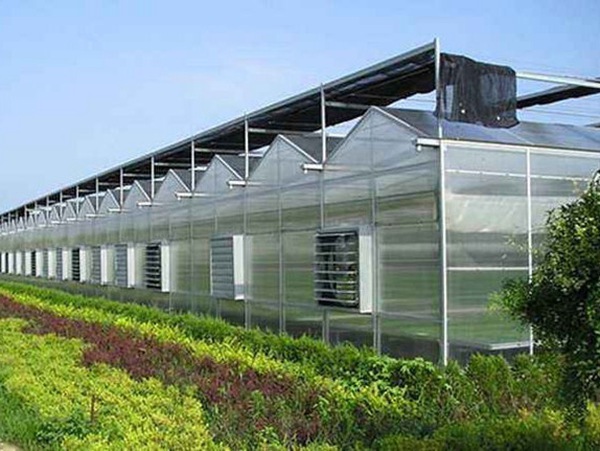 新型定制功能型薄膜温室 花卉育苗棚 采摘园承建