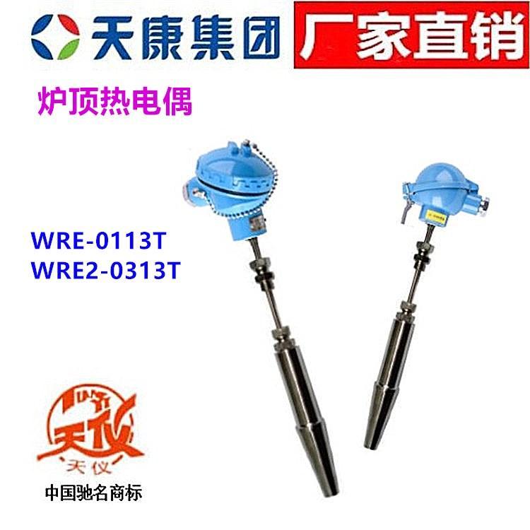 安徽天康炉顶热电偶WREK/WREK2-014T